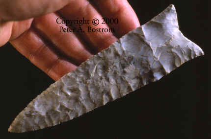 Large Sloan site dalton point.
