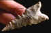 Sloan site serrated dalton point.