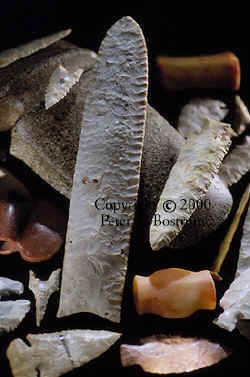 Daltons, Hardin Barb, Dovetail, Bannerstones and Axe.