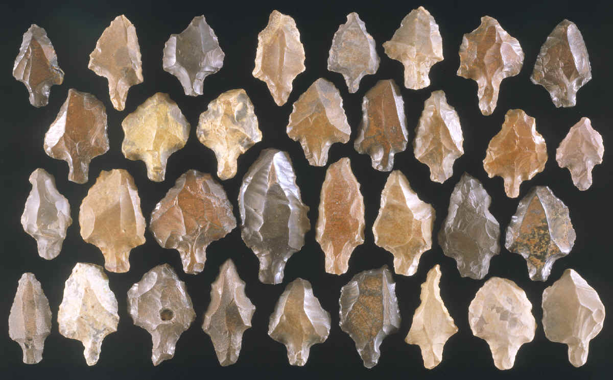 33 tanged Aterian points made of various cherts.