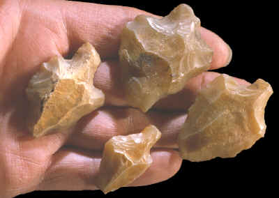 Four stemmed Aterian points.