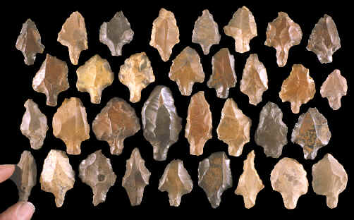 Stemmed Aterian points.