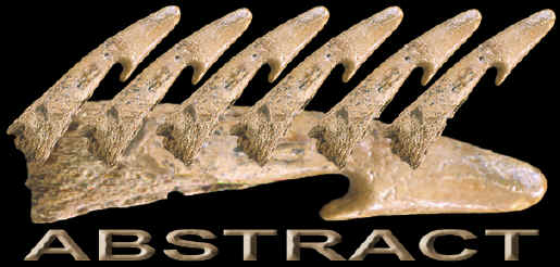 Abstract image of several altatl hooks.