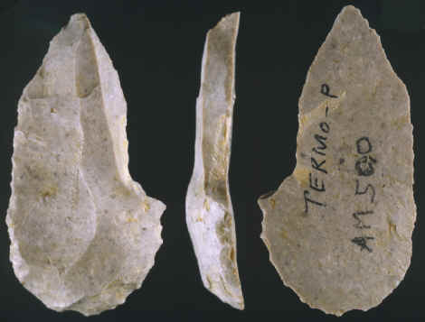 End scraper--burin from Tempo-Pialat site in southern France.