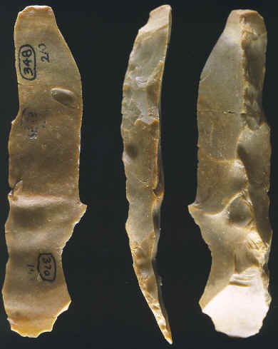 Crested blade from the Abri Blanchard site, France.