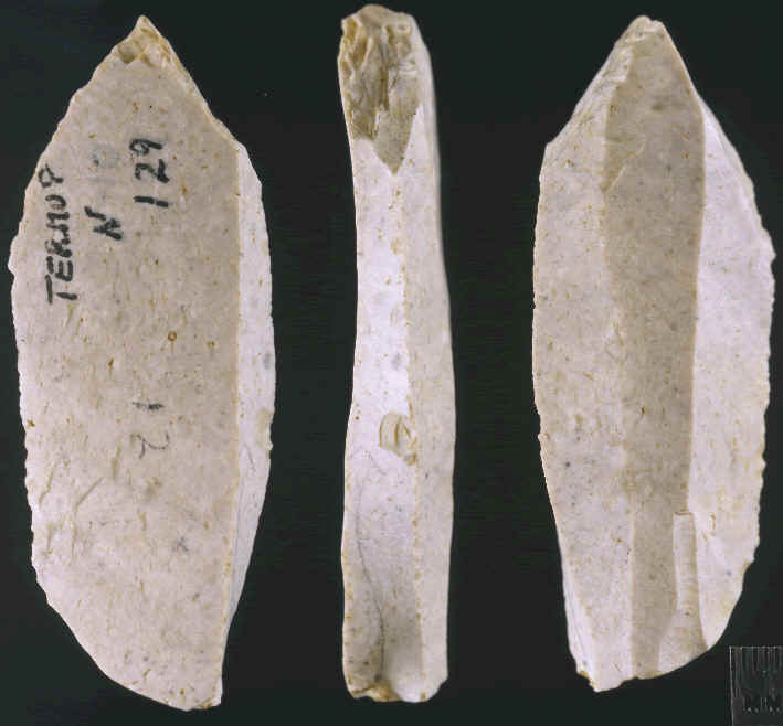 Dihedral burin from the Aurignacian stone tool industry.