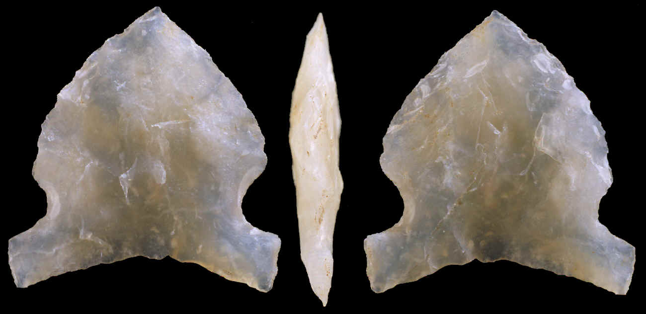 A heavily resharpened Avonlea point.