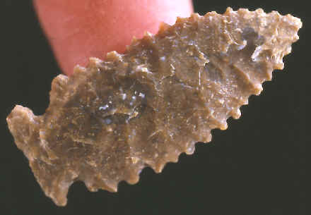 Avonlea (eccentric) point from a bison kill site in Montana.