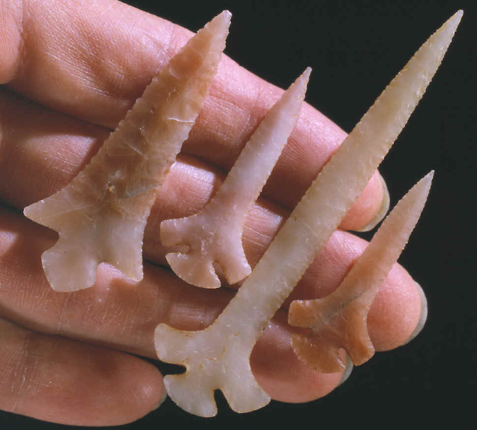 Four points made by Bob Thomas.