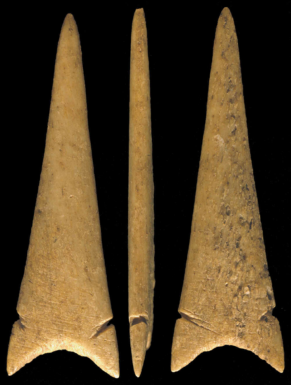 Bone arrow point from Monroe County, Illinois.