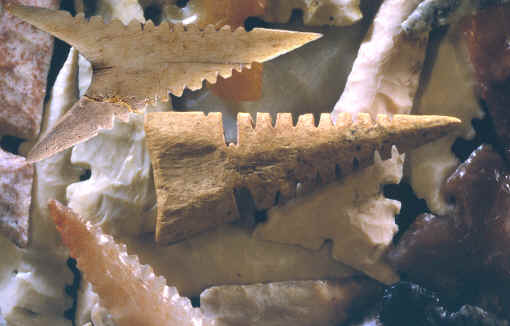 Bone and stone Cahokia points.