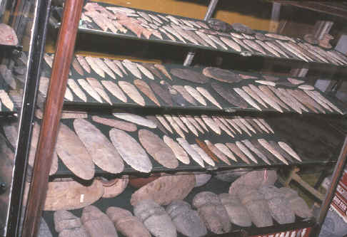 A cabinet full of artifacts from Illinois.