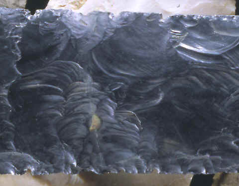 Closeup of the area of repair on this obsidian biface.