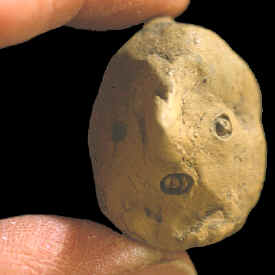 Clay human head figure, Mississippian culture.