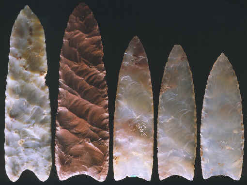 Five Clovis points from the Fenn cache.