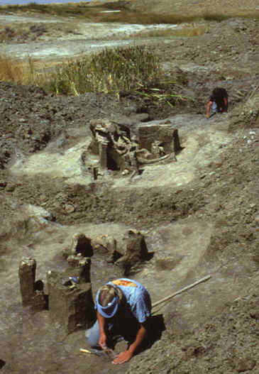 Small mammoth bone concentration on the Colby site.