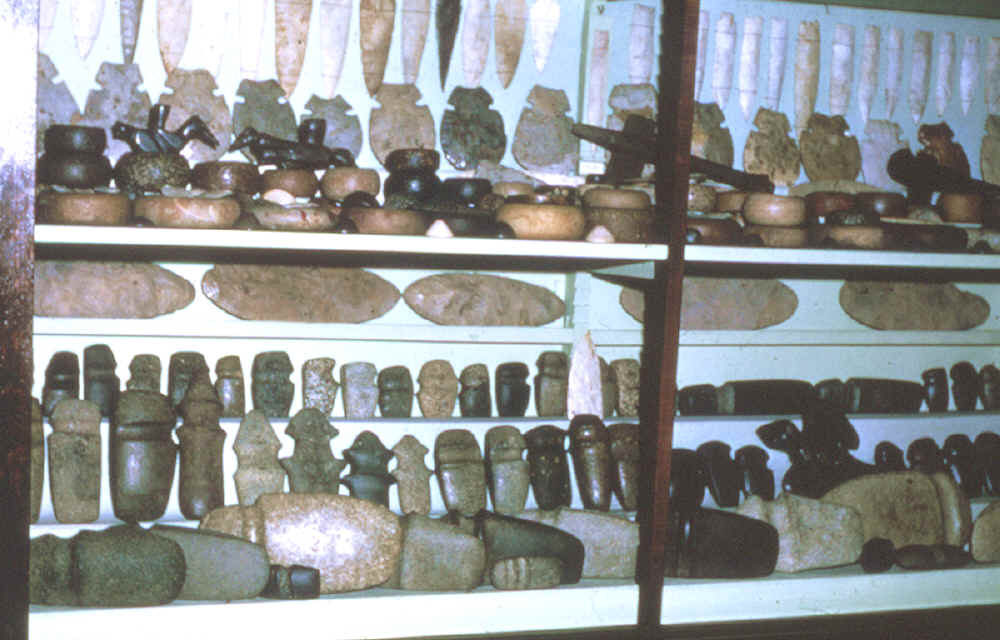 Shelves full of artifacts from the B. W. Stevens collection.