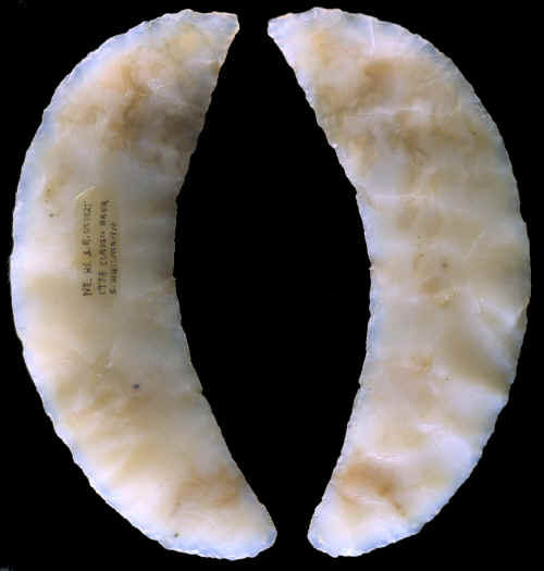 Lunate Crescent from the Black Rock Desert area, Nevada.