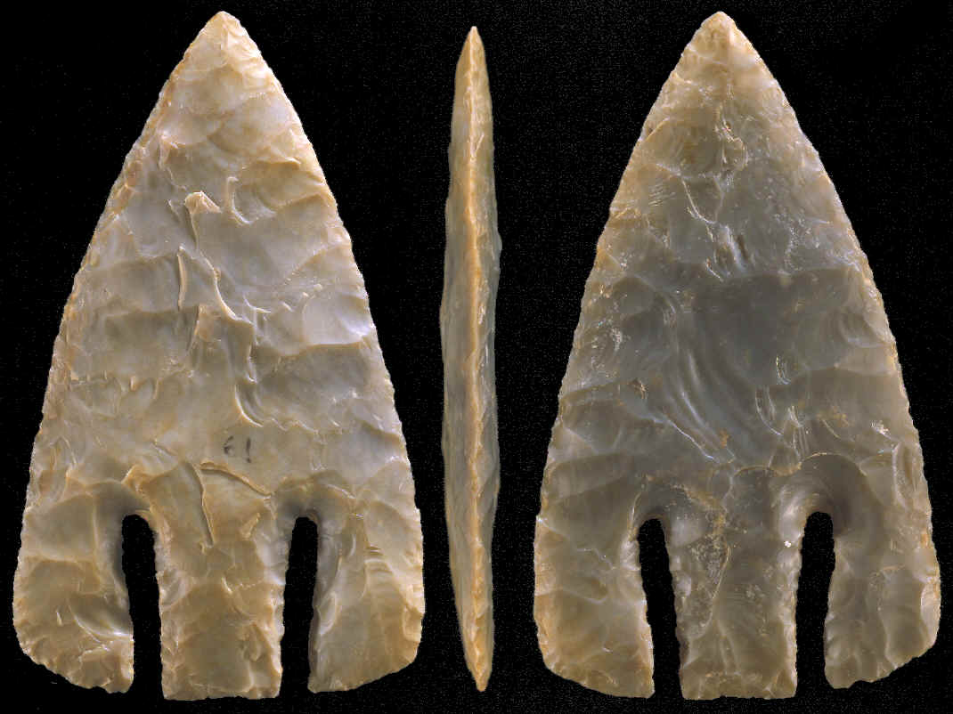 Andice point made by Carey Weber.
