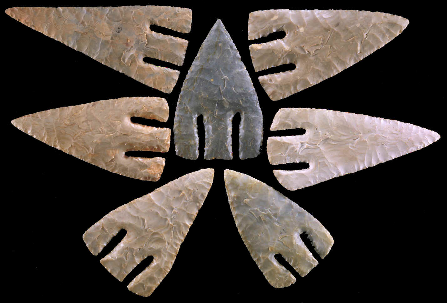 7 Andice points made by Carey Weber.