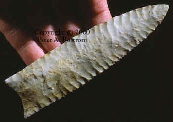 Close up of fine flaking of Dalton point from the Olive Branch site.