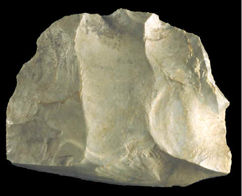 Early stage flluted Dalton base with hinge fracture.