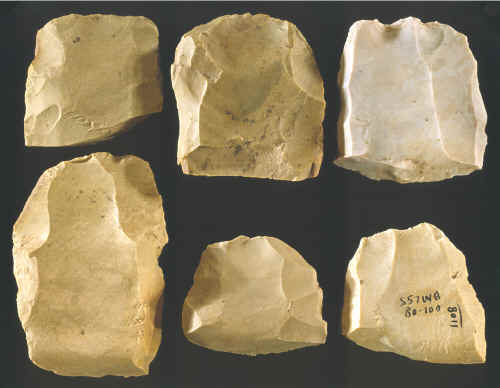 6 early stage fluted Dalton preforms with hinge fractures.