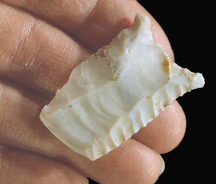 Late stage fluted Dalton preform base with hinge fracture.