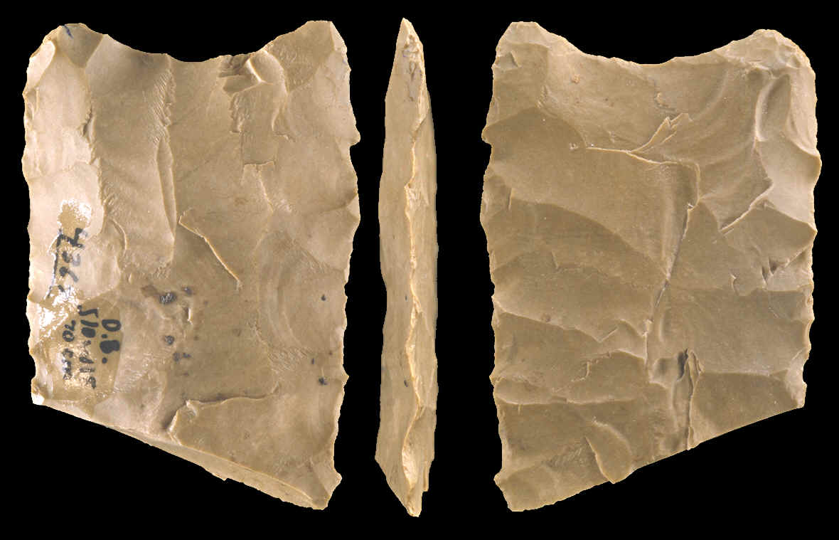 Broken base of a Dalton point showing basal thinning flakes.