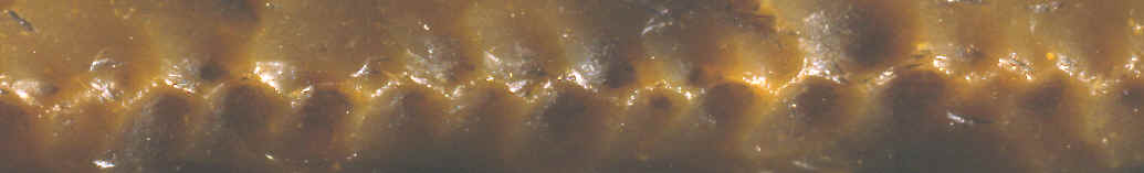 Enlargement of the flaking on the edge of a type IV Danish dagger.