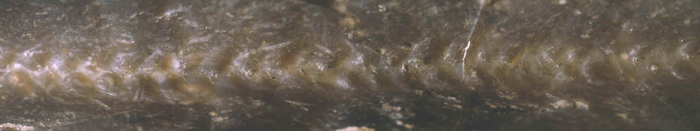 Enlargement of the edge flaking of a Danish dagger handle.