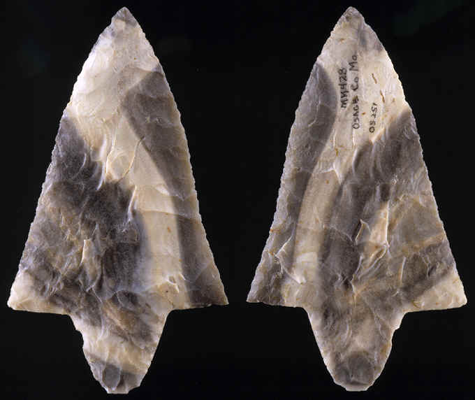 Dickson point from Osage Co., Missouri.