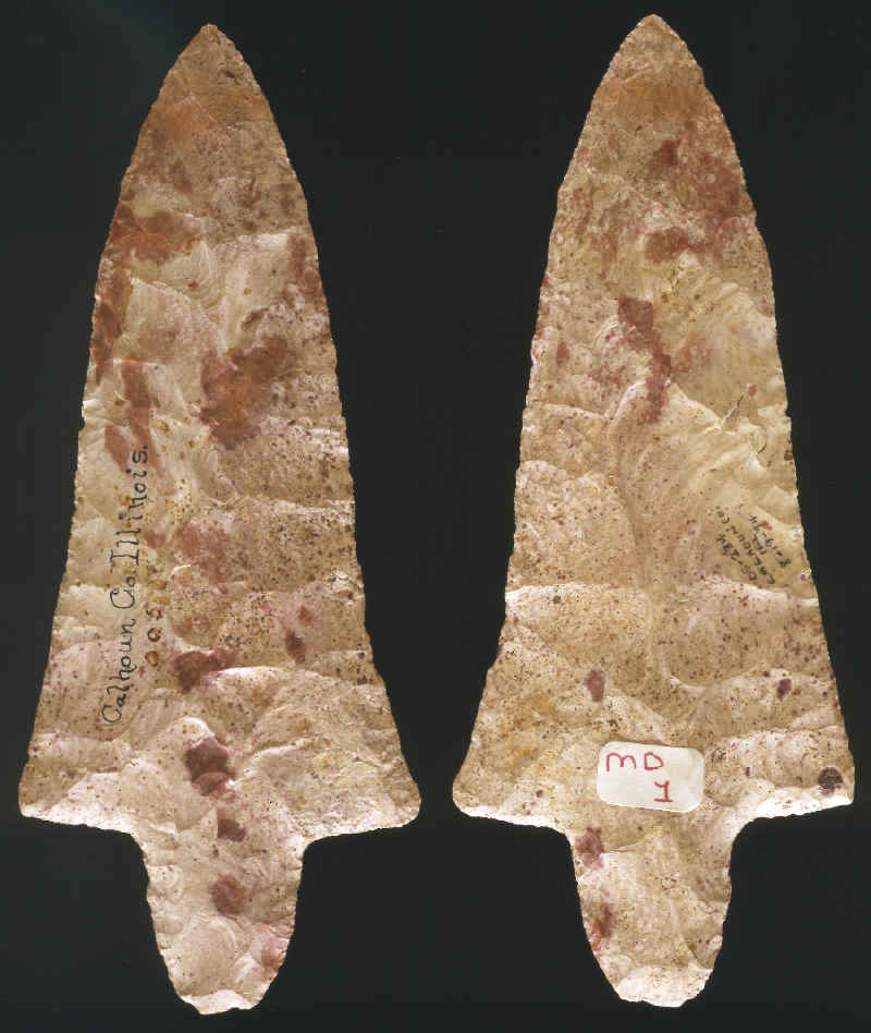 Dickson point from Calhoum Co., Illinois.