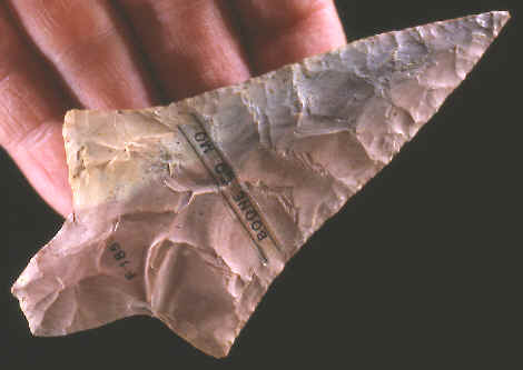 Dickson point from Boone Co., Missouri.