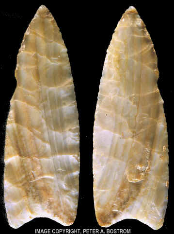 Clovis point fom the Drake cache.