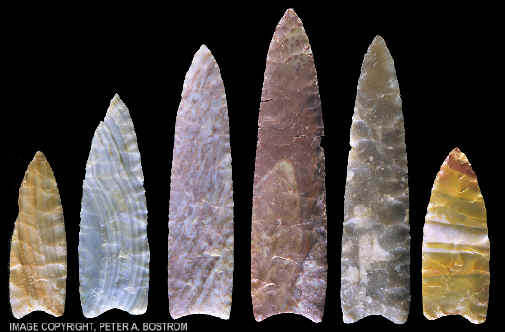 Six Clovis points from the Drake cache.