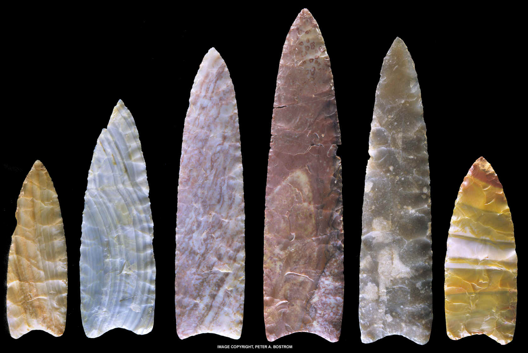 Six Clovis points from the Drake cache.