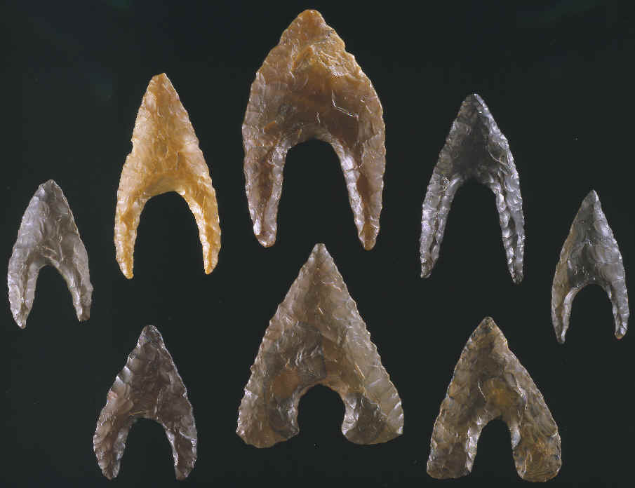 Eight Hollow Base point from Egypt.