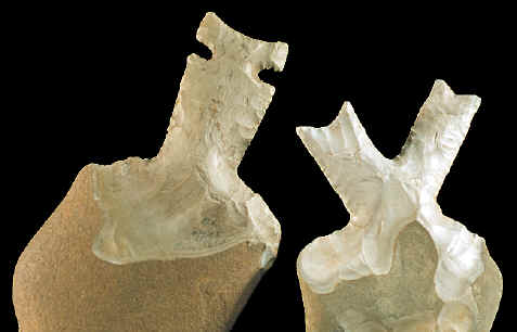 Two nodular art pieces made by George Eklund.