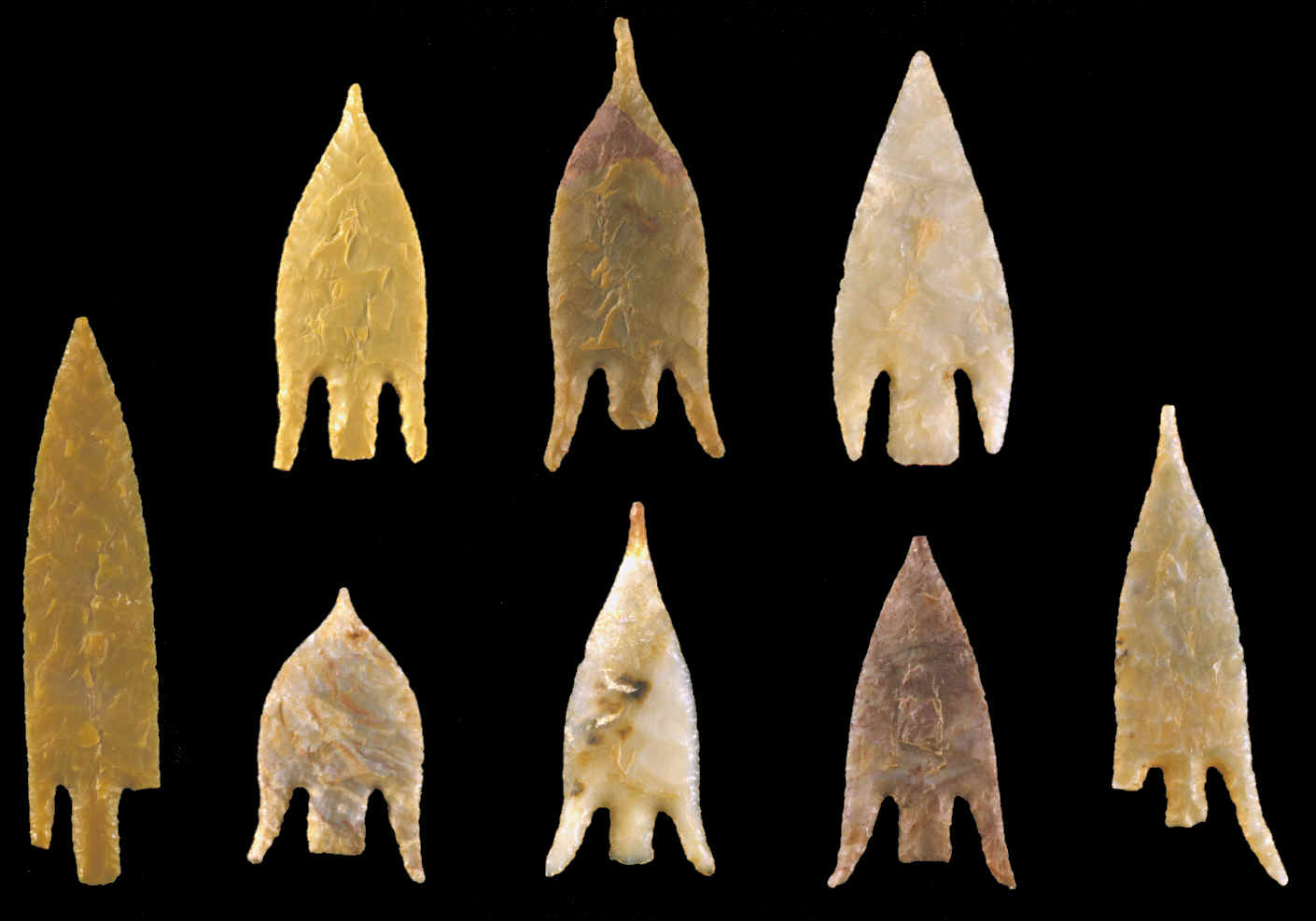 Eight Fan-Eared points from Sub-Sahara, Africa.