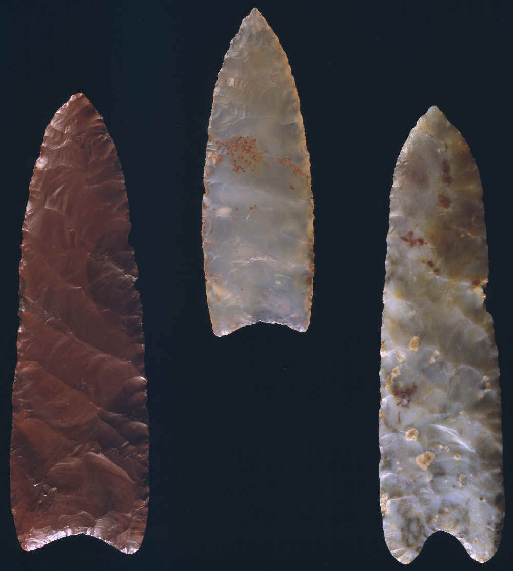 Three Clovis points from the Fenn cache.