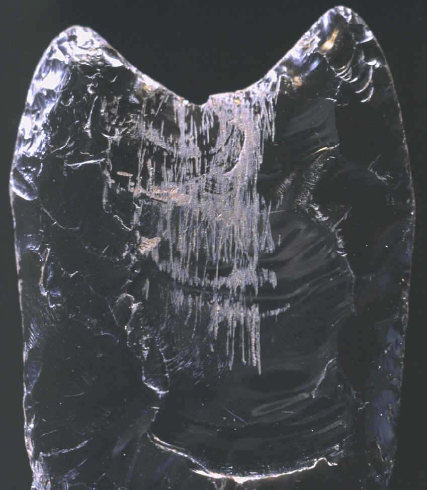 Magnified view of abraded hafting area on Clovis point.