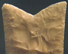 Working end of a later style Fish Tail biface.