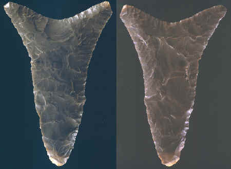 Two views of an early style Fish Tail biface.