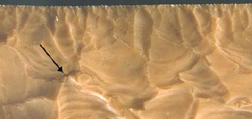 Close up of the edge of a Fish Tail biface.