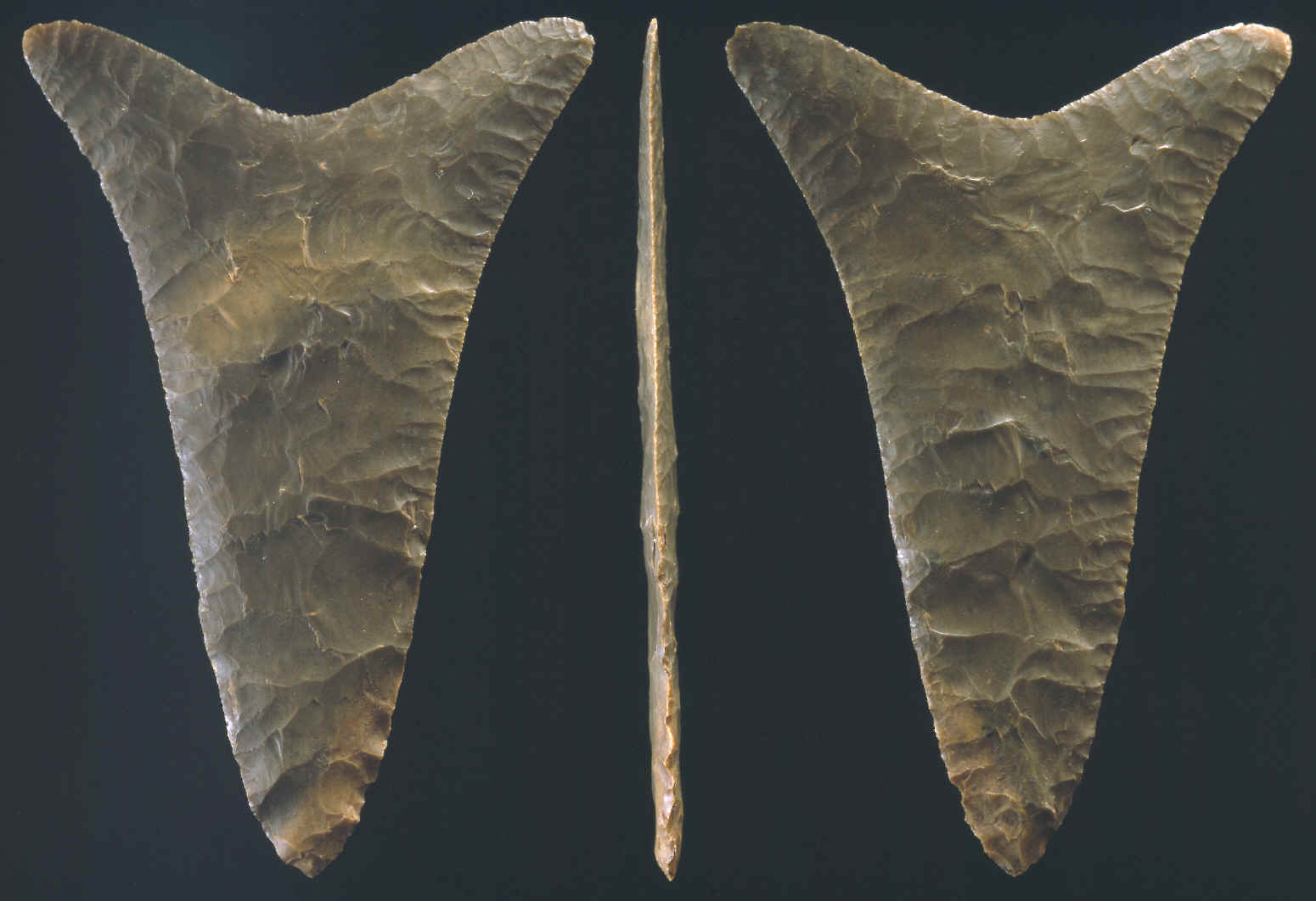 Fish Tail biface from Predynastic Egypt.