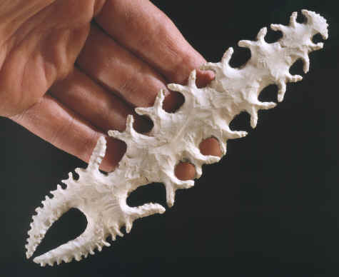 Eccentric made by Mack Tussinger.