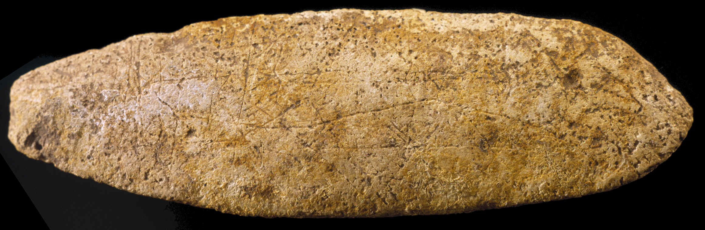 Engraved stone from the Gault site.