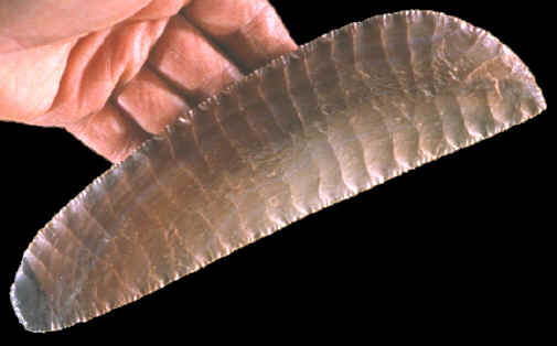 Modern-made Gerzean Knife.