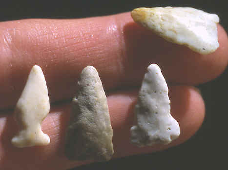 Gizzard stone Cahokia points.